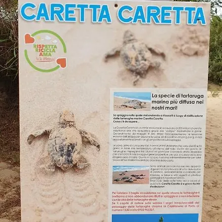 Σπίτι διακοπών La Casa Del Sole Santa Maria Del Focallo